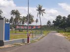 Land for Sale in Kurunegala