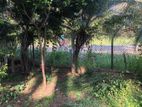 Land for sale in kurunegala