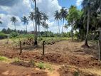 Land for Sale in Kurunegala