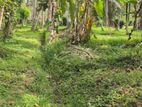 Land for Sale in Kurunegala