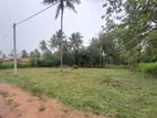 Land for Sale in Kurunegala