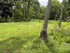 Land for Sale in Kurunegala