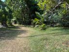 Land for Sale in Kurunegala