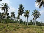 Land for Sale in Kurunegala