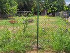 Land for Sale in Kurunegala