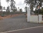 Land for Sale in Kurunegala / Gepallawa