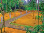 Land for Sale in Kurunegala Giriulla, Bulathsinhala Estate