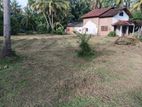 Land for Sale in Kurunegala - Hettipola