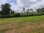 Land for Sale in Kurunegala, Ibbagamuwa