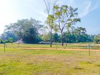 Land for Sale in Kurunegala -Ibbagamuwa
