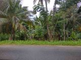 Land for Sale in Kurunegala Katupitiya