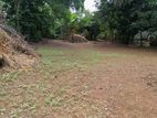 Land for sale in Kurunegala Mallawapitiya