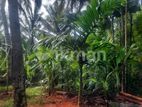 Land for Sale in Kurunegala, Mawathagama