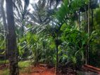 Land for Sale in Kurunegala, Mawathagama
