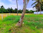 land for sale in Kurunegala Millawa