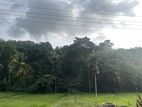 Land for Sale in Kurunegala, Narammala