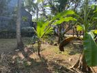 Land for Sale in Kurunegala Near Dambokka