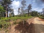 Land for Sale in Kurunegala Road