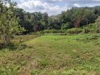 Land For Sale in Kurunegala (SSPL-327)