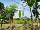 Land for Sale in Kurunegala Town