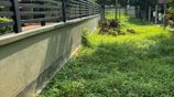 Land for Sale in Kurunegala Town Limit