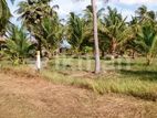 Land for Sale in Kurunegala Wariyapola