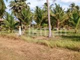 Land for Sale in Kurunegala Wariyapola