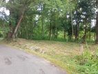 Land for Sale in Kurunegala Yanthampalawa