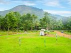 Land for Sale in Kurunegala - Z86