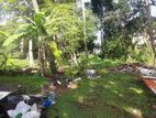 Land for Sale in Kurunegala(Malkaduwawa)