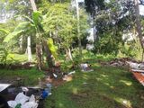 Land for Sale in Kurunegala(Malkaduwawa)