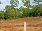 Land for Sale in Kurunegala,T06