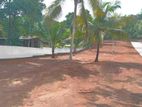 Land for Sale in Kurunegala,T42