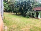 Land for Sale in Kurunegla