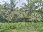 Land for Sale in කුරුණෑගල