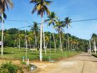 Land for Sale in කුරුණෑගල - නාරම්මල