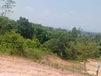 Land for Sale in Kuruwita