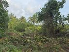 Land for Sale in Kuruwita