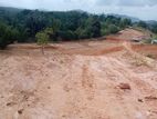 Land for Sale in Kuruwita