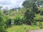 Land for Sale in Labeema, Matara(SSPL-141)