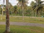 land for sale in labeema New Town