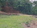 Land for Sale in Lenagalla, Homagama