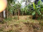 Land for Sale in Liyanagemulla