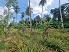 Land for sale in loluwagoda