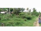 Land For Sale in Loluwagoda