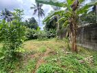 Land For Sale In Loluwagoda