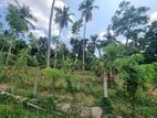 Land for Sale in Loluwagoda