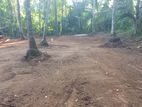 Land for Sale in Lunugama