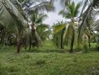 Land for Sale in Lunuwila