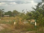 Land for Sale in Mabola Queen Avenue